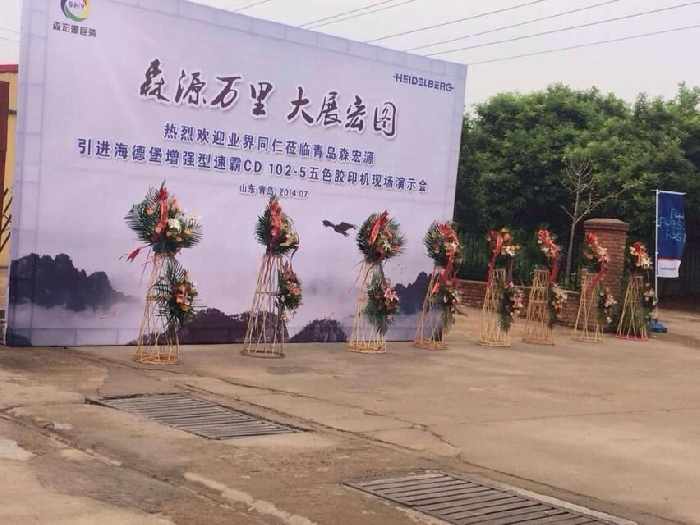 手提袋印刷定制，就選青島森宏源